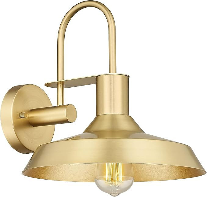 Darkaway Gooseneck Barn Light, 12inch Metal Dome Shade Farmhouse Wall Sconces, Industrial Outdoor... | Amazon (US)