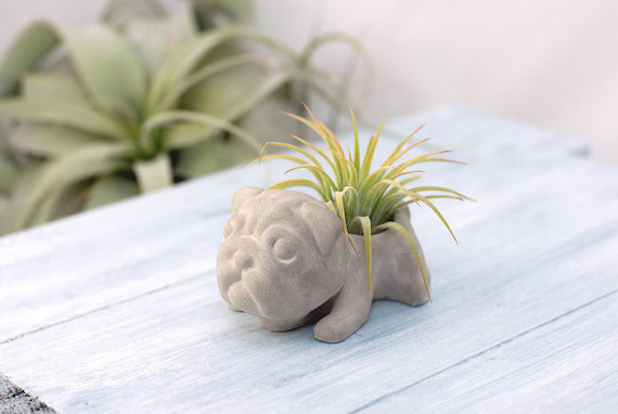 Concrete Small Pug Air Plant & Succulent Planter  Wedding | Etsy | Etsy (US)
