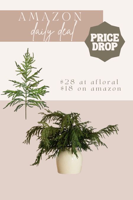 Famous afloral Norfolk pine stems are $10 off at amazon! Christmas decor
Holiday decor

#LTKsalealert #LTKhome #LTKHoliday