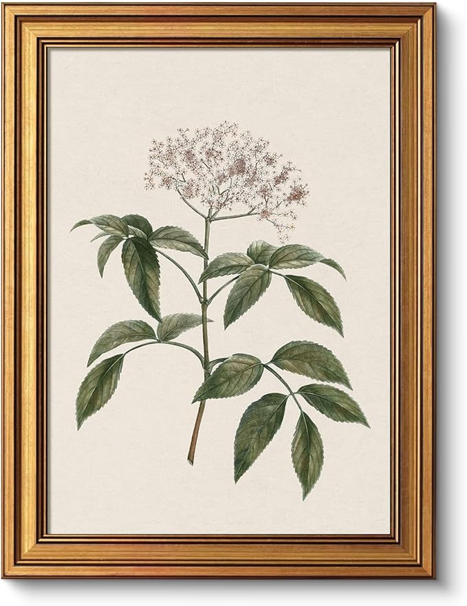 VIYYIEA Vintage Botanical Wall Art Decor for Dining Living Room Hallway, Aesthetic Classic Floral... | Amazon (US)