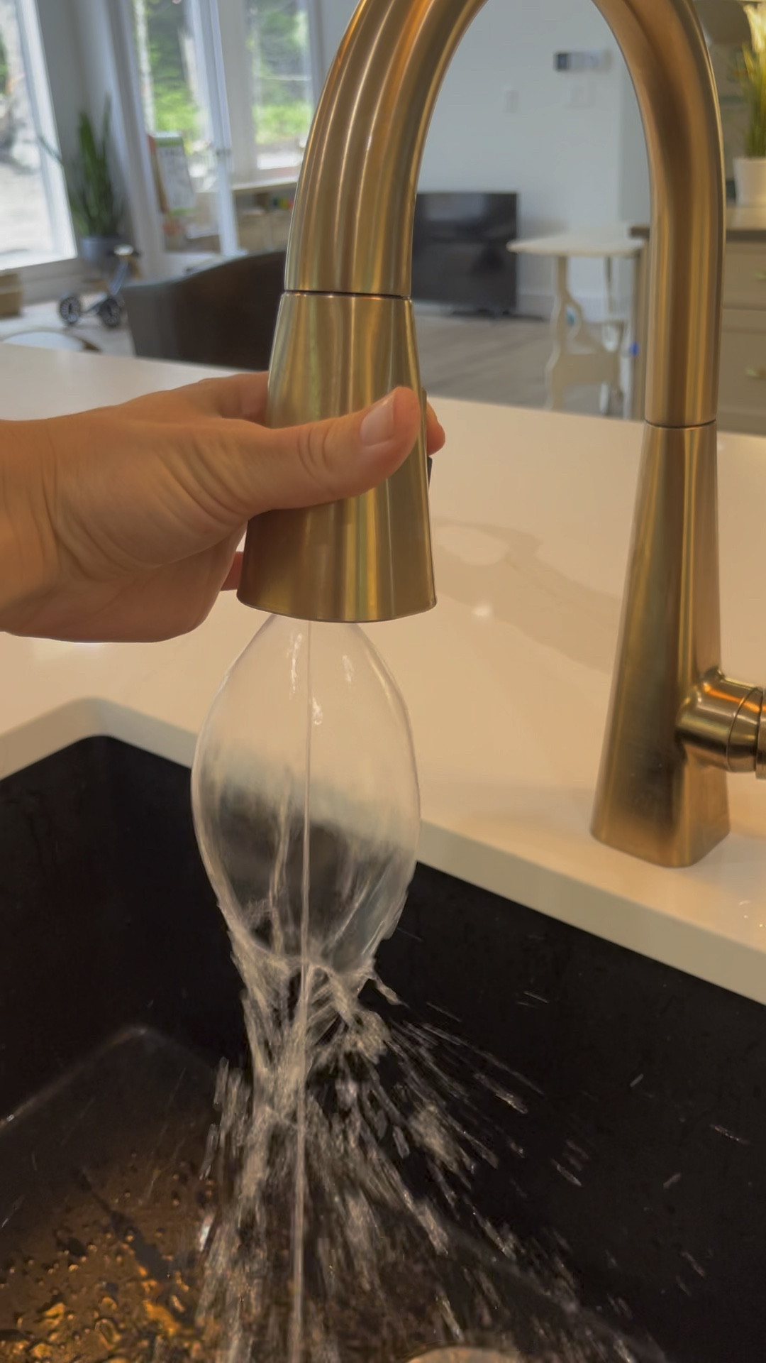 Kitchen faucet 

#LTKhome #LTKxPrimeDay #LTKFind