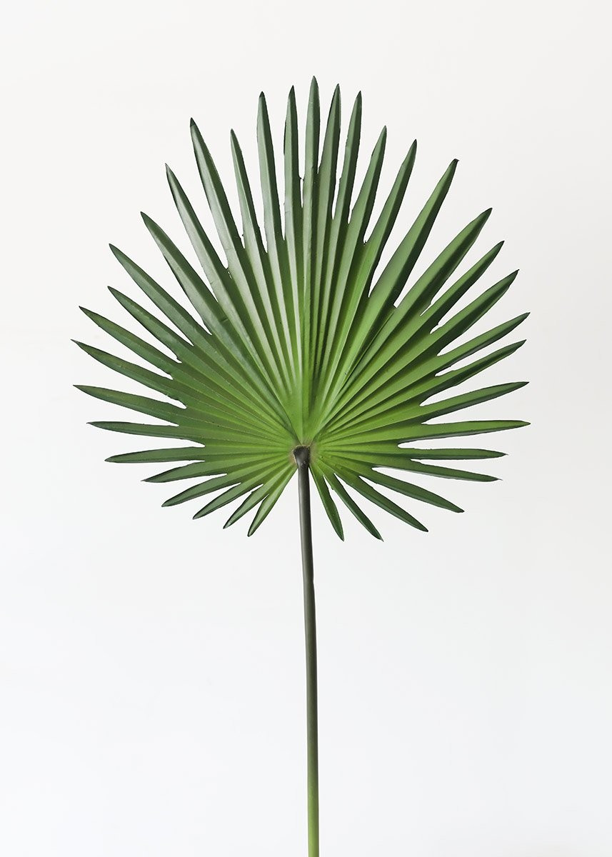 Artificial Fan Palm Leaf - 30" | Afloral (US)