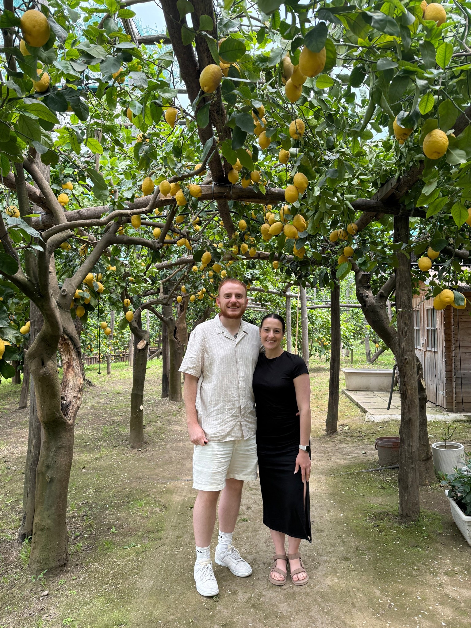 Touring a Lemon Grove in Sorrento on the Amalfi Coast! 

#sorrent #italy #lemon #lemongrove #cupshe #blackdress #europe #europetrip #amalficoast #vacation #eurotrop #travel #teva #momfit 

#LTKTravel #LTKMens #LTKStyleTip