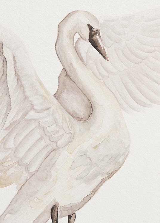 Watercolor Swan Poster | Desenio