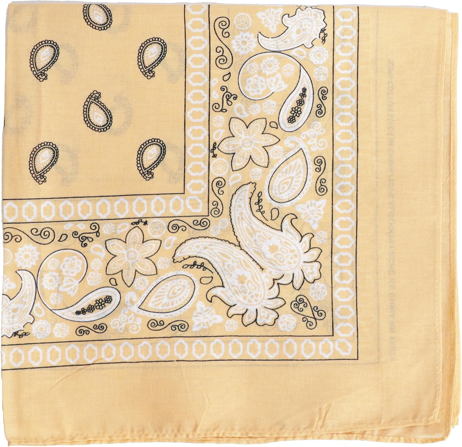 22 Inch Cotton Paisley Bandana | Amazon (US)