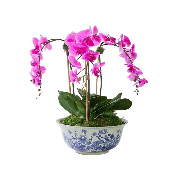 Triple Fuchsia Orchid Oiseau Bowl | Caitlin Wilson Design
