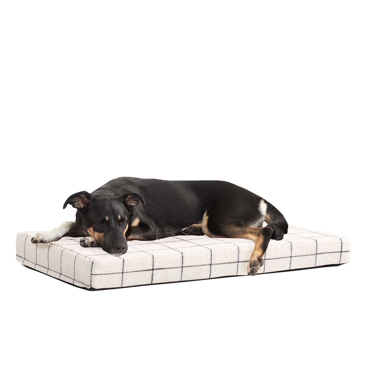 Amazon.com : Barkbox Memory Foam Platform Dog Bed | Plush Mattress for Orthopedic Joint Relief | ... | Amazon (US)