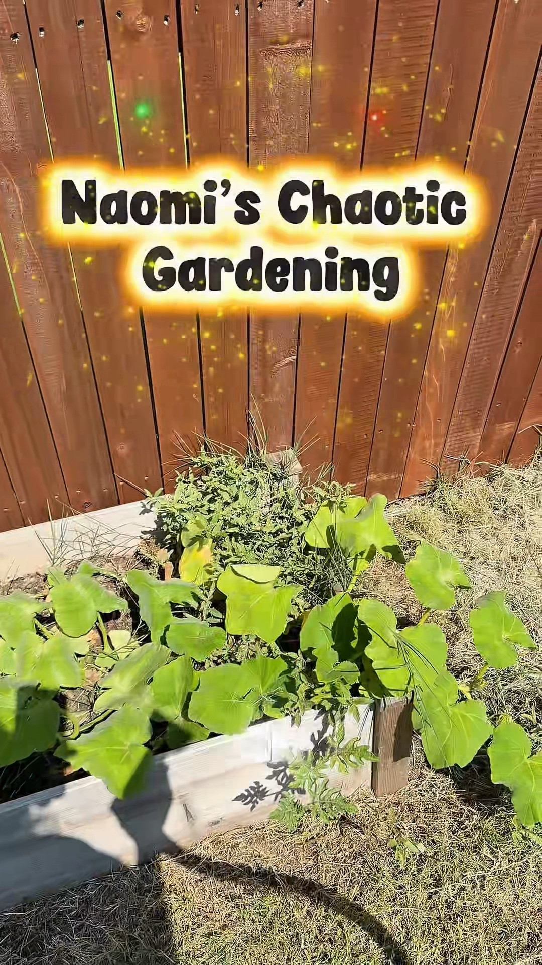 POV: I planted a garden with absolutely no idea what I was doing… and somehow it’s working. 🌱😂

🍉 Watermelon: flowering
🥒 Cucumbers: already producing (and yes, we’ve already picked one!)
🍅 Tomatoes: flowering

Just out here learning as I go and celebrating every tiny win. 🌿💚

#LTKvlog #LTKHome #LTKdayinmylife