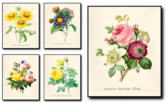 Botanical Print Set Of 5,Botanical Wall Art, Botanical Art,Botanical Wall Art,Botanical Wall Deco... | Etsy (US)