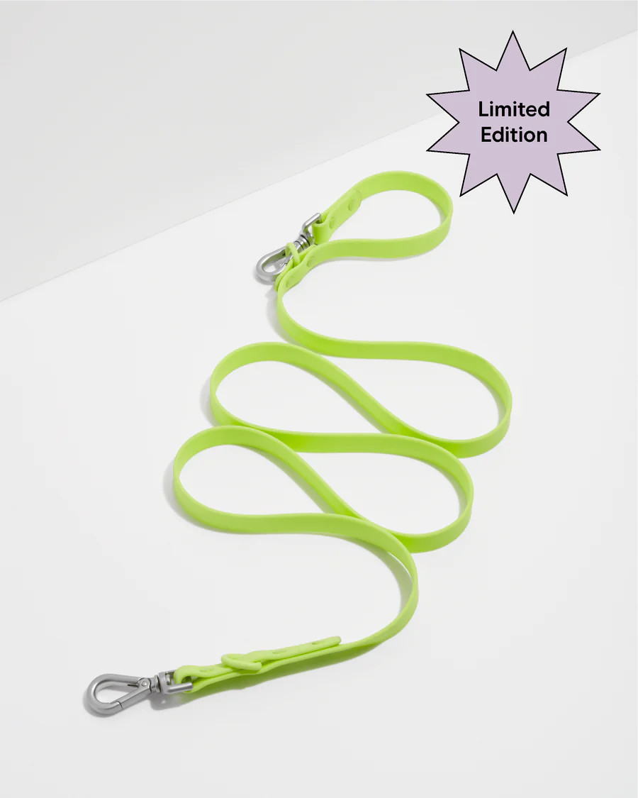 Dog Leash | Wild One | Wild One
