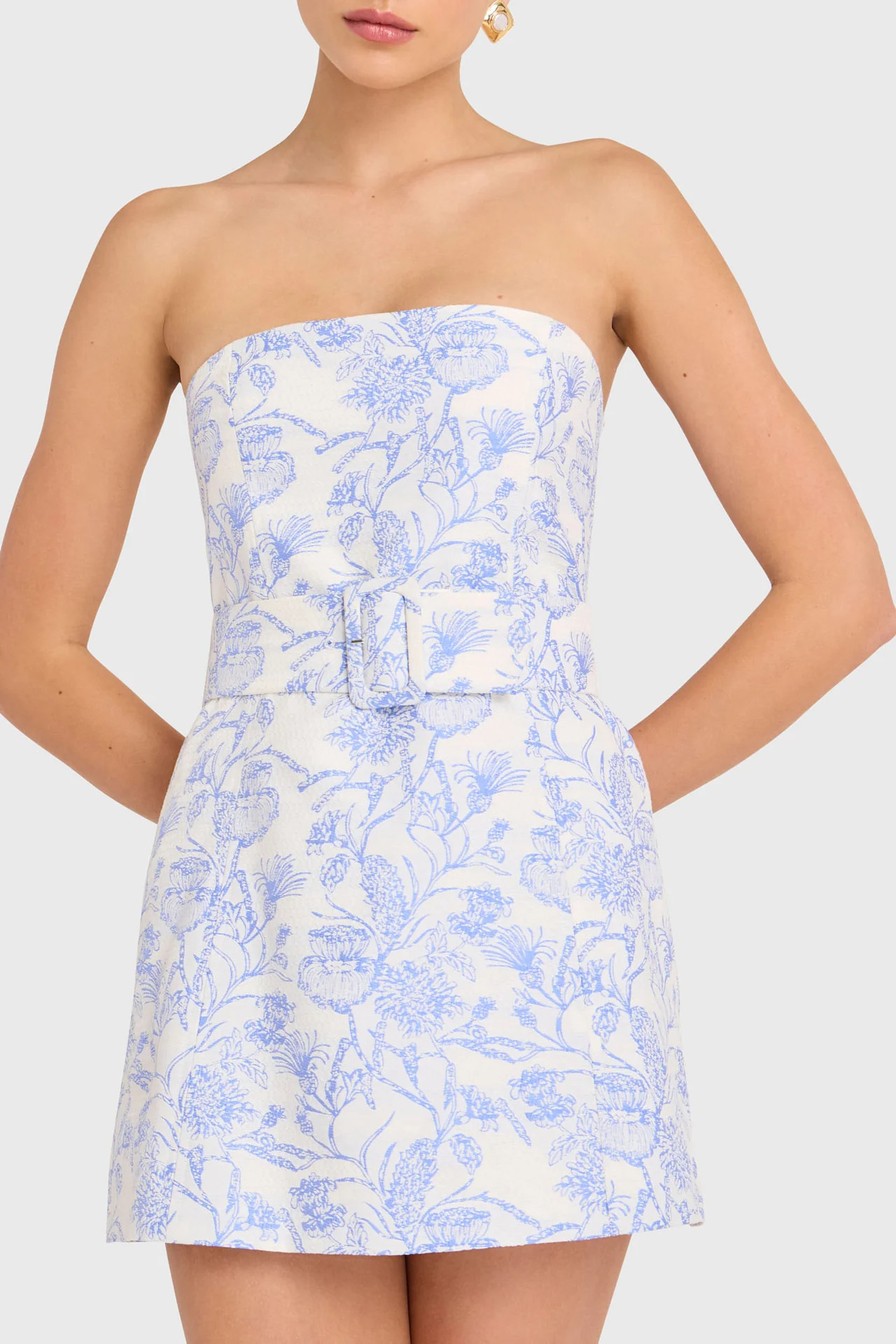 Fae Dress in Toile Brocade | Amanda Uprichard