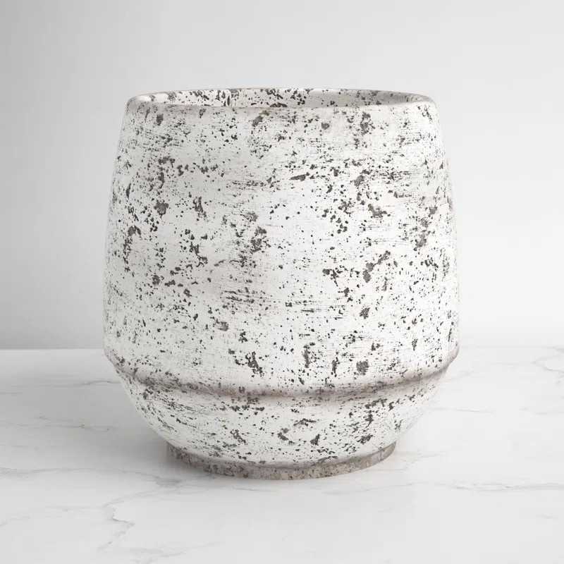 Kelly Clarkson Home Camryn Cement Pot Planter & Reviews | Wayfair | Wayfair North America