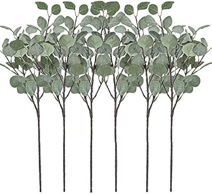 Artificial Greenery Stems 6 Pcs Straight Silver Dollar Eucalyptus Leaf Silk Greenery Bushes Plast... | Amazon (CA)