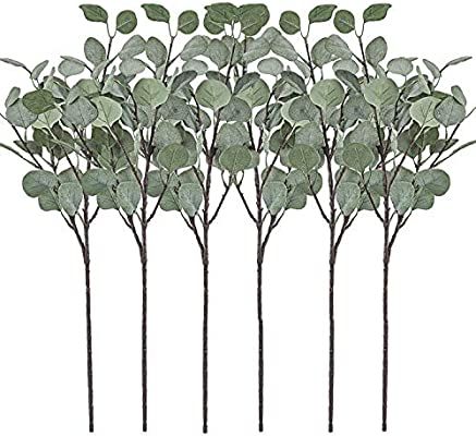 Artificial Greenery Stems 6 Pcs Straight Silver Dollar Eucalyptus Leaf Silk Greenery Bushes Plast... | Amazon (US)