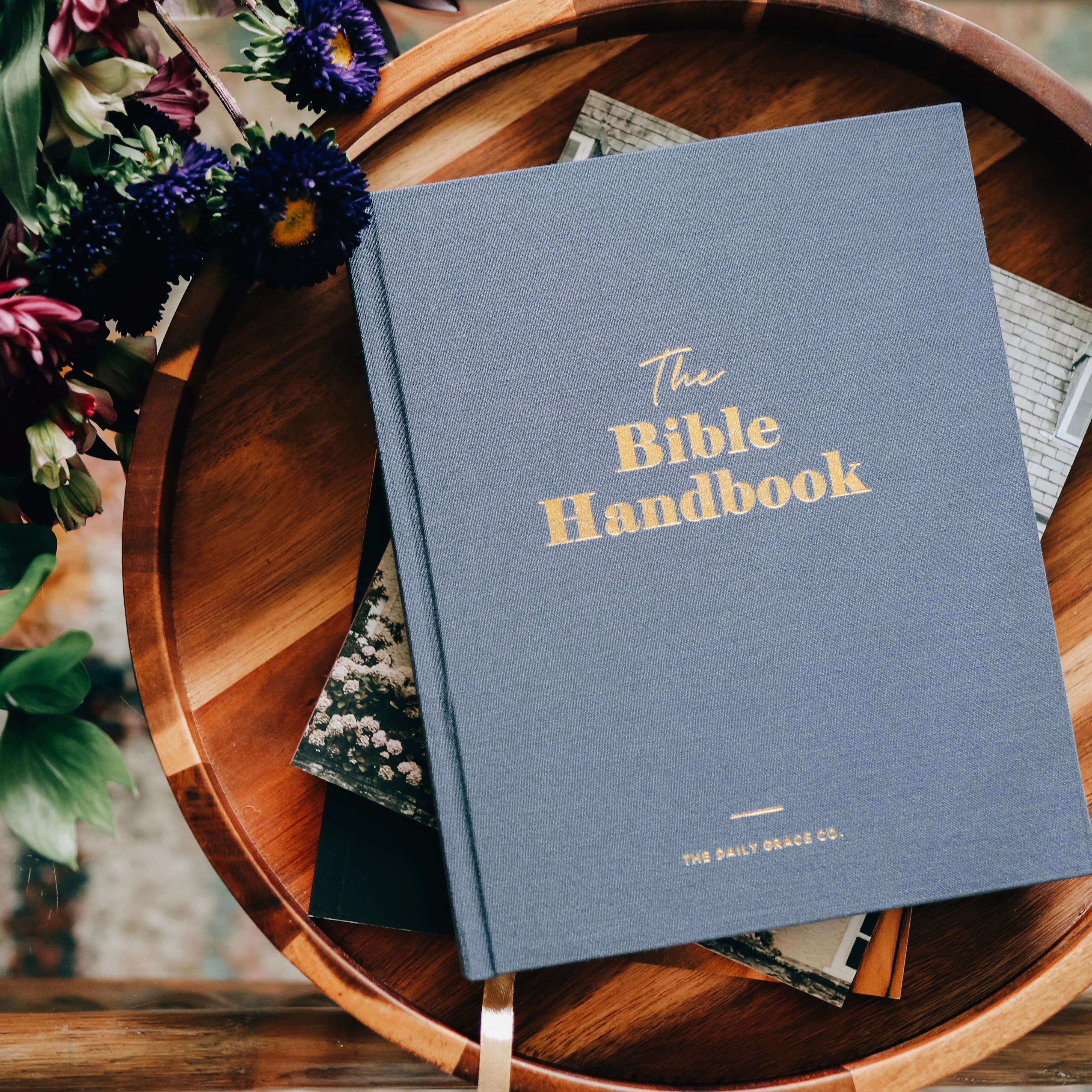 The Bible Handbook | The Daily Grace Co.