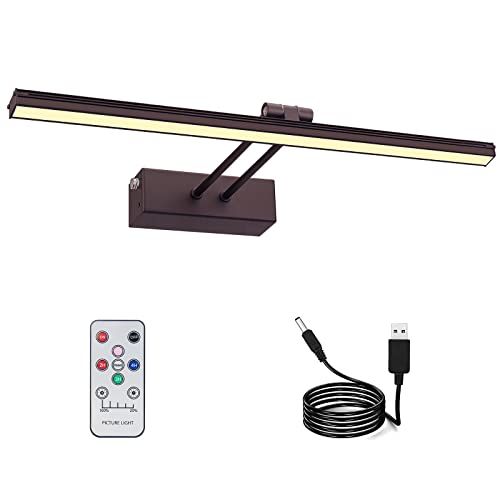 RAIFOOLLY Picture Lights for Paintings,Wireless Picture Light with Brightness Dimmable,16 in Recharg | Amazon (US)
