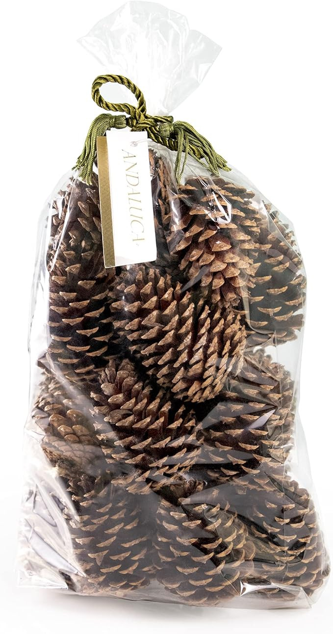 ANDALUCA Decorative Pinecone Vase & Bowl Fillers | Pinecones for Decorating & Home Decor (Natural... | Amazon (US)