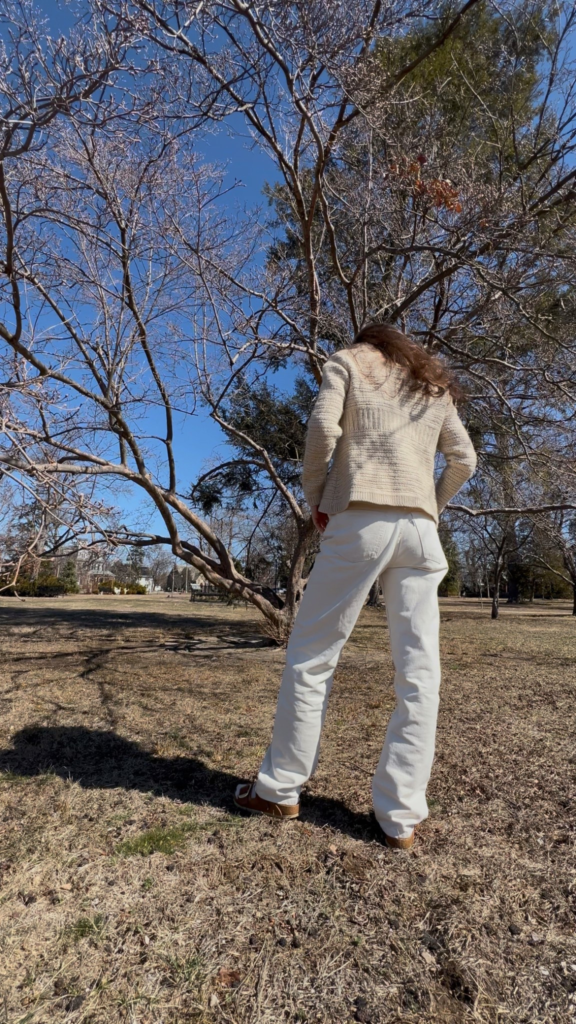 Spring outfit 
White outfits 
Denim style
Wool sweater 
Cardigan sweater 
Birkenstock sandals 
Casual outfits 
Sezane 
Parisian style 

ootd, easy outfits, denim outfits, spring capsule wardrobe, casual outfits, everyday outfits, style tips for women

Levi’s Low Pro jeans 
Inspired by early 'OOs style
• Featured in a low-rise with bootcut silhouette
• Easy fit through the hip and thigh and pitches slightly in the front rise
• Mid rise: 10.75"
• Inseam: 31"
Description
A vintage fit made for modern times. Our Low Pro Jeans have the same mid rise and classic straight leg silhouette from your favorite '90s denim for a perfect lived-in look.

#LTKShoeCrush #LTKStyleTip
