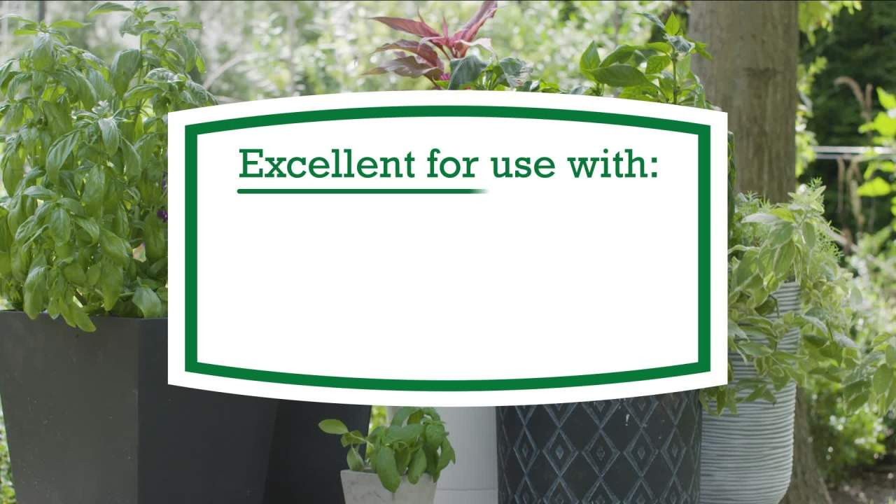 Expert Gardener Potting Mix for Potted Plants, 8 qt. | Walmart (US)