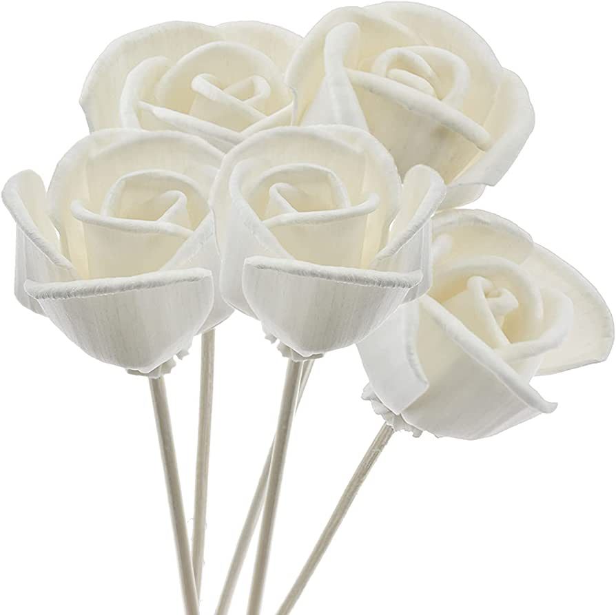 LOOGOOL Pack of 5 Rattan Rose Diffuser Sticks, Flower Reed Diffuser Sticks Wood Replacement for A... | Amazon (US)