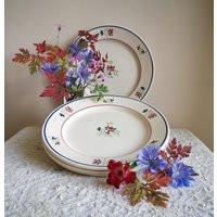 French Antique Ironstone Dessert/Side Plates, Made By ""V.f Paris', Model ""Sylvie', Handpainted Floral Design | Etsy (US)