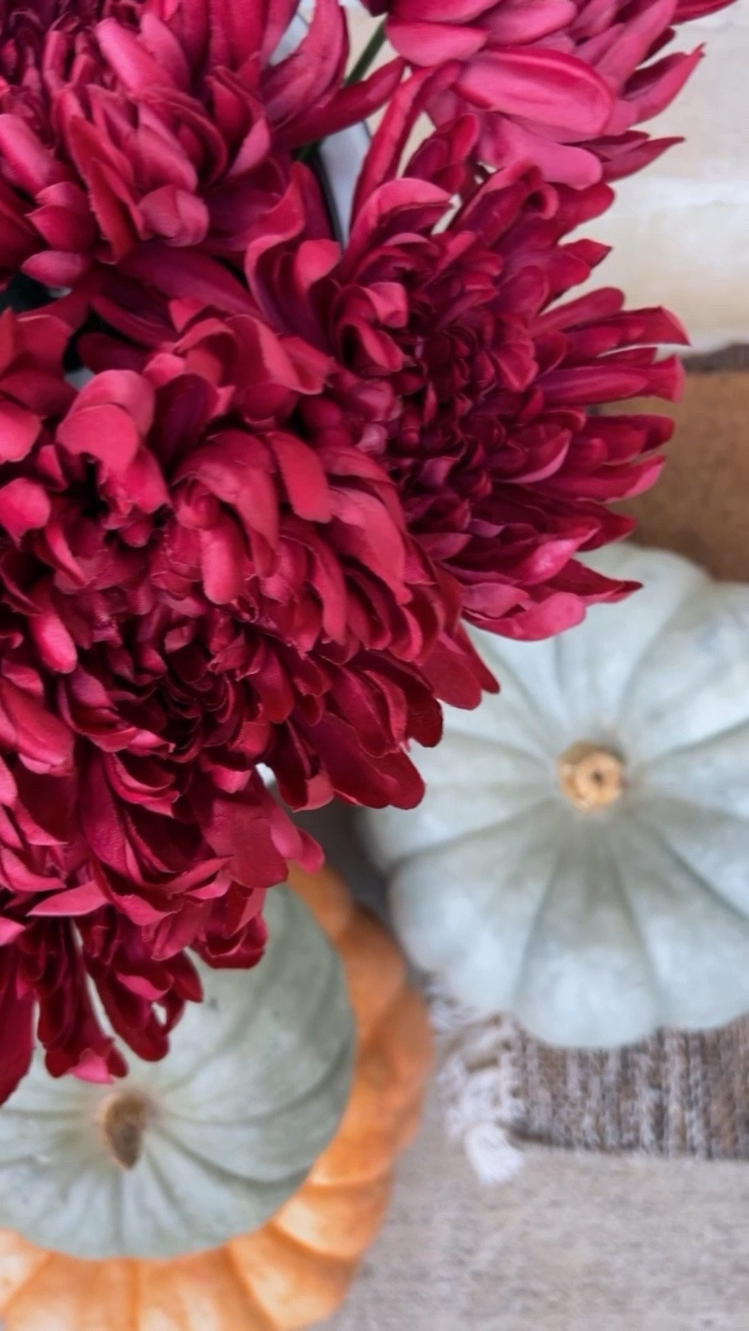 THE SECRET TO MUMS THAT LAST ALL SEASON🤌🏻 These are gorgeous, large blooms and so realistic. Comes in 7 more colors
#amazonfind #fallflorals #mums #fallporch #fallfrontporch #amazonhome #fauxmums #amazon #planter #porchdecor #LTKautumn 

#LTKSeasonal #LTKFindsUnder50 #LTKHome