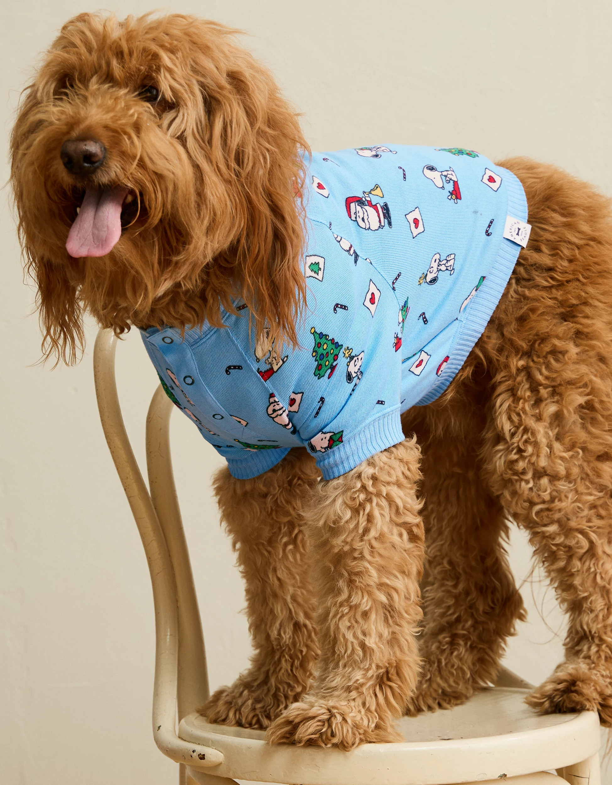 ABO Snoopy Santa Plush Dog Pajama | American Eagle Outfitters (US & CA)
