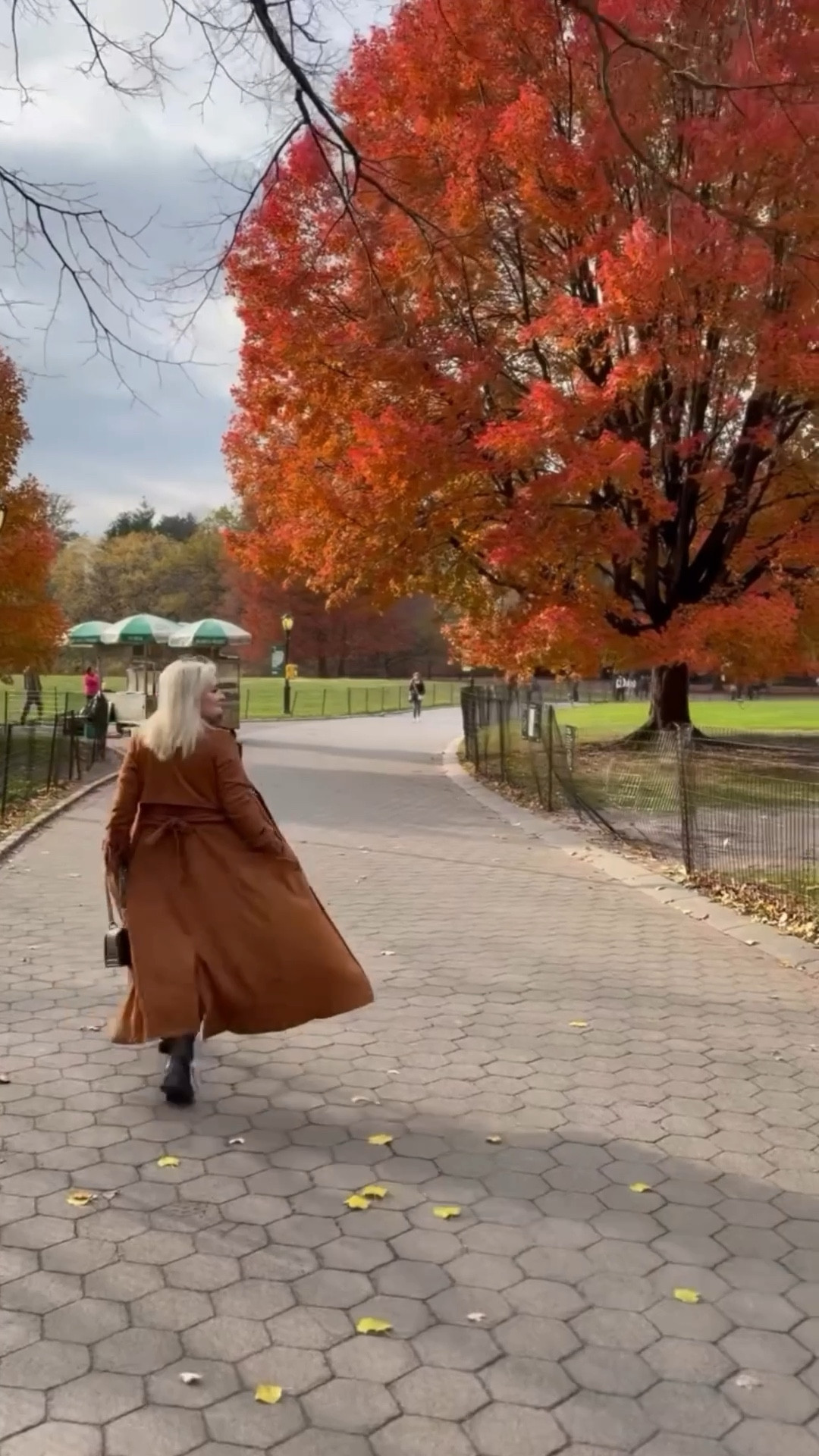 The Subtle Beauty of November 💛🧡🤎 #lovinglife #centralpark #newyorker

#LTKvlog #LTKdayinmylife #LTKootd