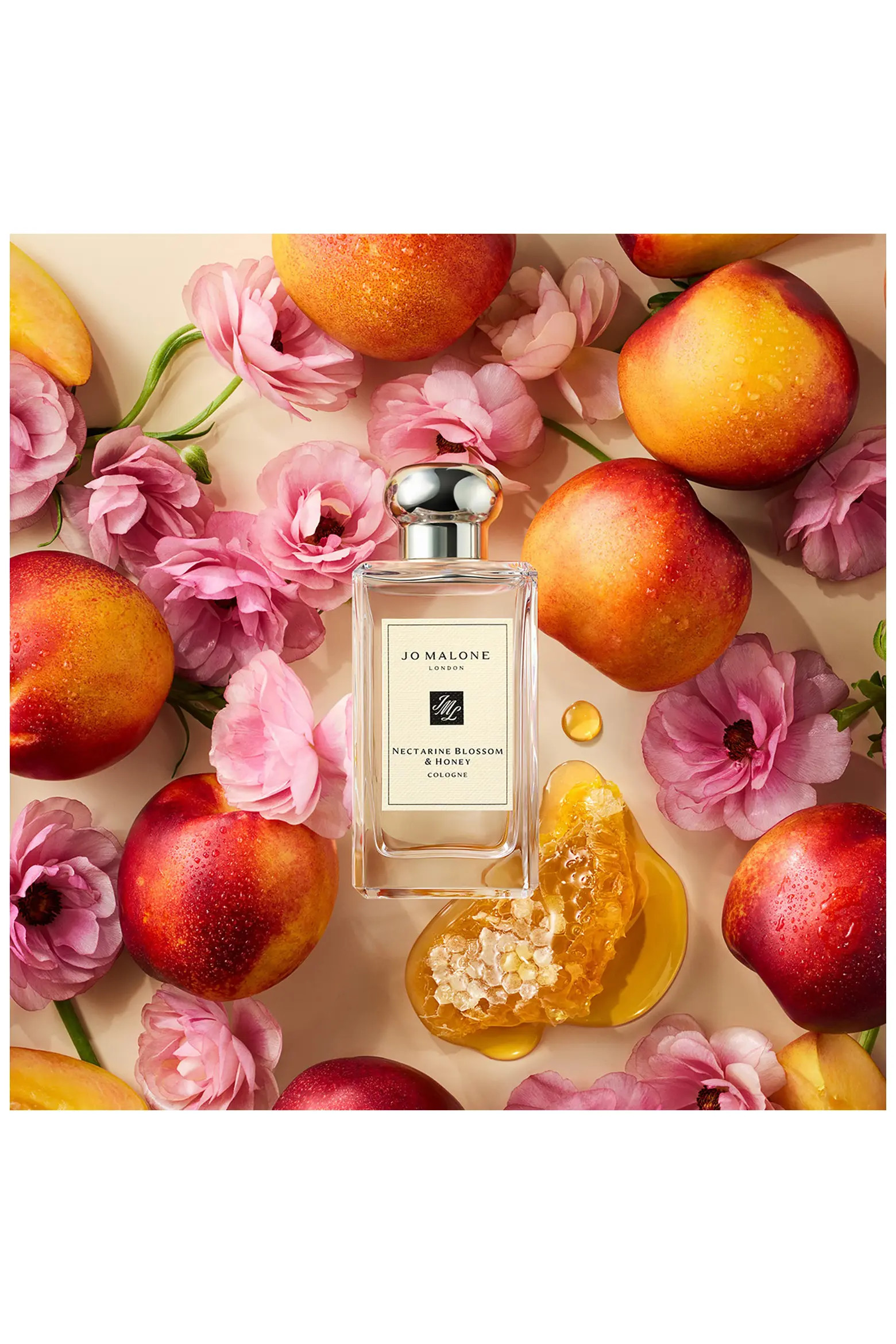 Cologne Discovery 4-Piece Gift Set $112 Value | Nordstrom | Nordstrom