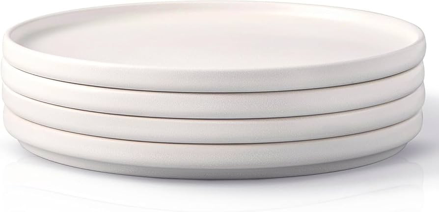 AmorArc Stoneware Dinner Plates Set of 4, 10.25 Inch Reactive Matte Glaze Ceramic Plates Set, Mod... | Amazon (US)