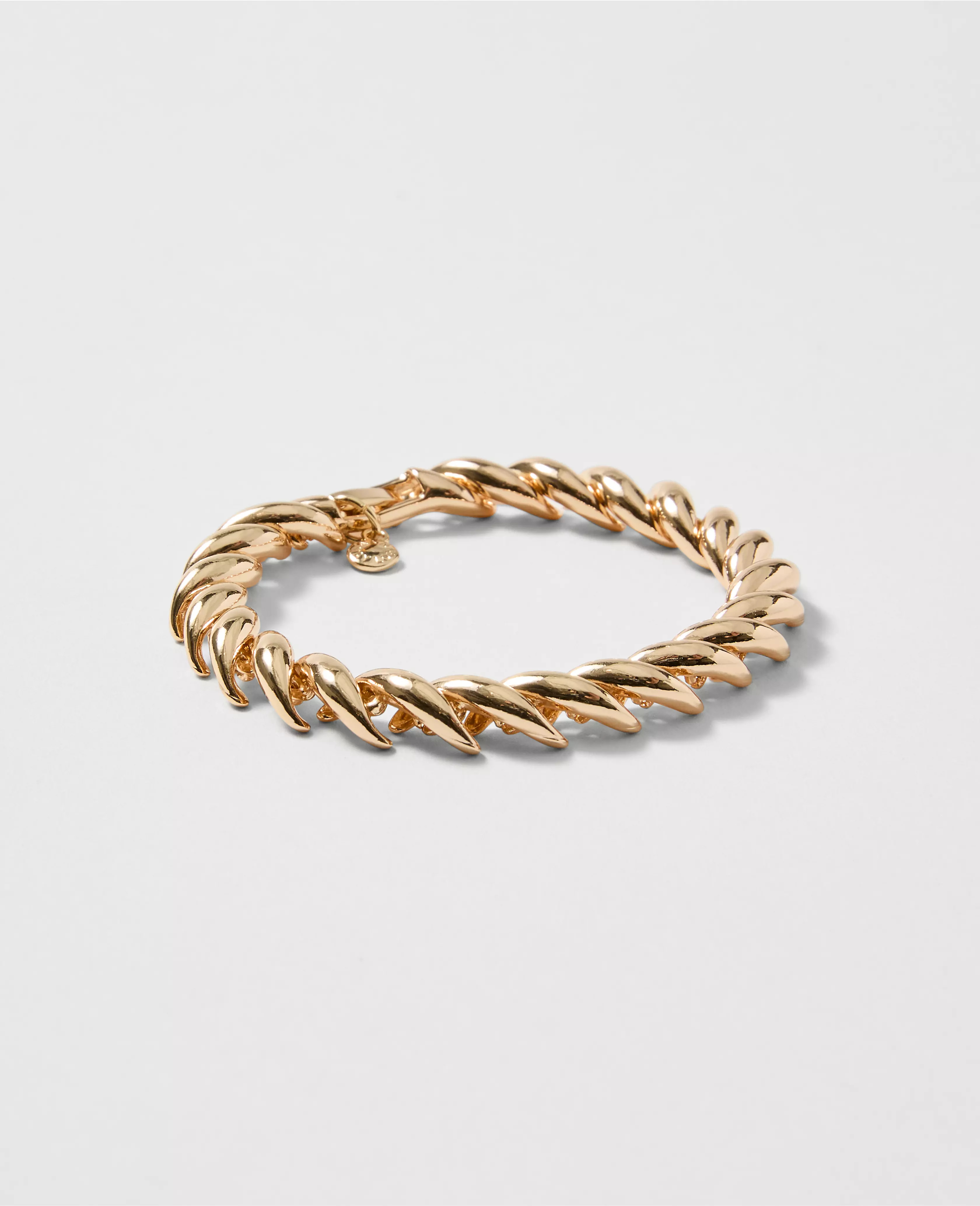 Twisted Metal Link Bracelet | Ann Taylor