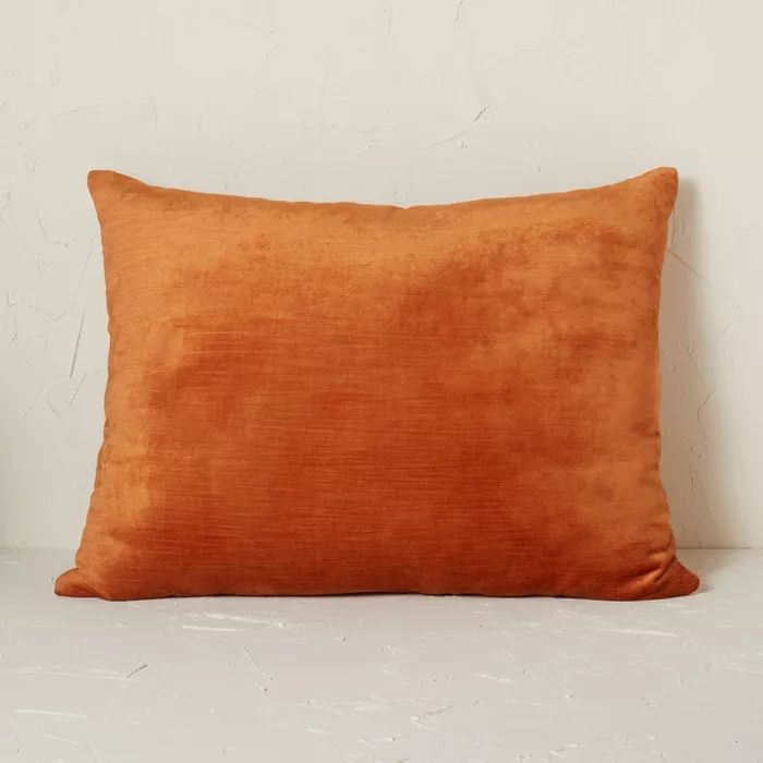 20" x 26" Standard Vintage Velvet Decorative Throw Pillow - Opalhouse™ designed with Jungalow... | Target