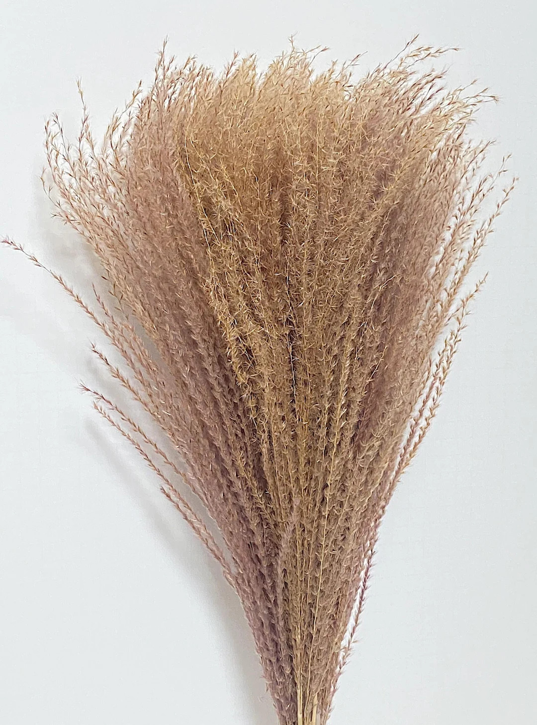 Pampas Grass Horsetail Whisk, Preserved Flowers, House Decor, Wedding, Pampas, Fluffy, Natural, F... | Etsy (US)