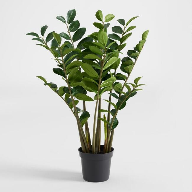 Faux Zamiifolia Plant | World Market