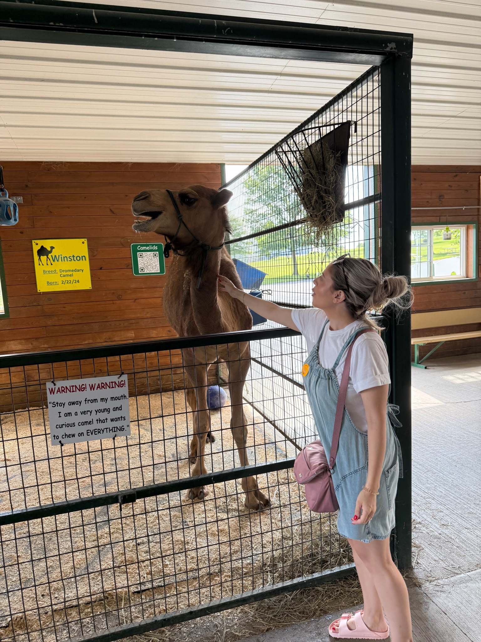 I found the perfect summer fit! Whether you’re going to the amusement park or to the farm this suits it all! Perfect for if you’re pregnant too! 

Even the camel approves 
#freepeople #lululemon #birkenstocks #summerfit #summerootd #farmfit #bumpfriendly

#LTKBump #LTKPetite #LTKSeasonal