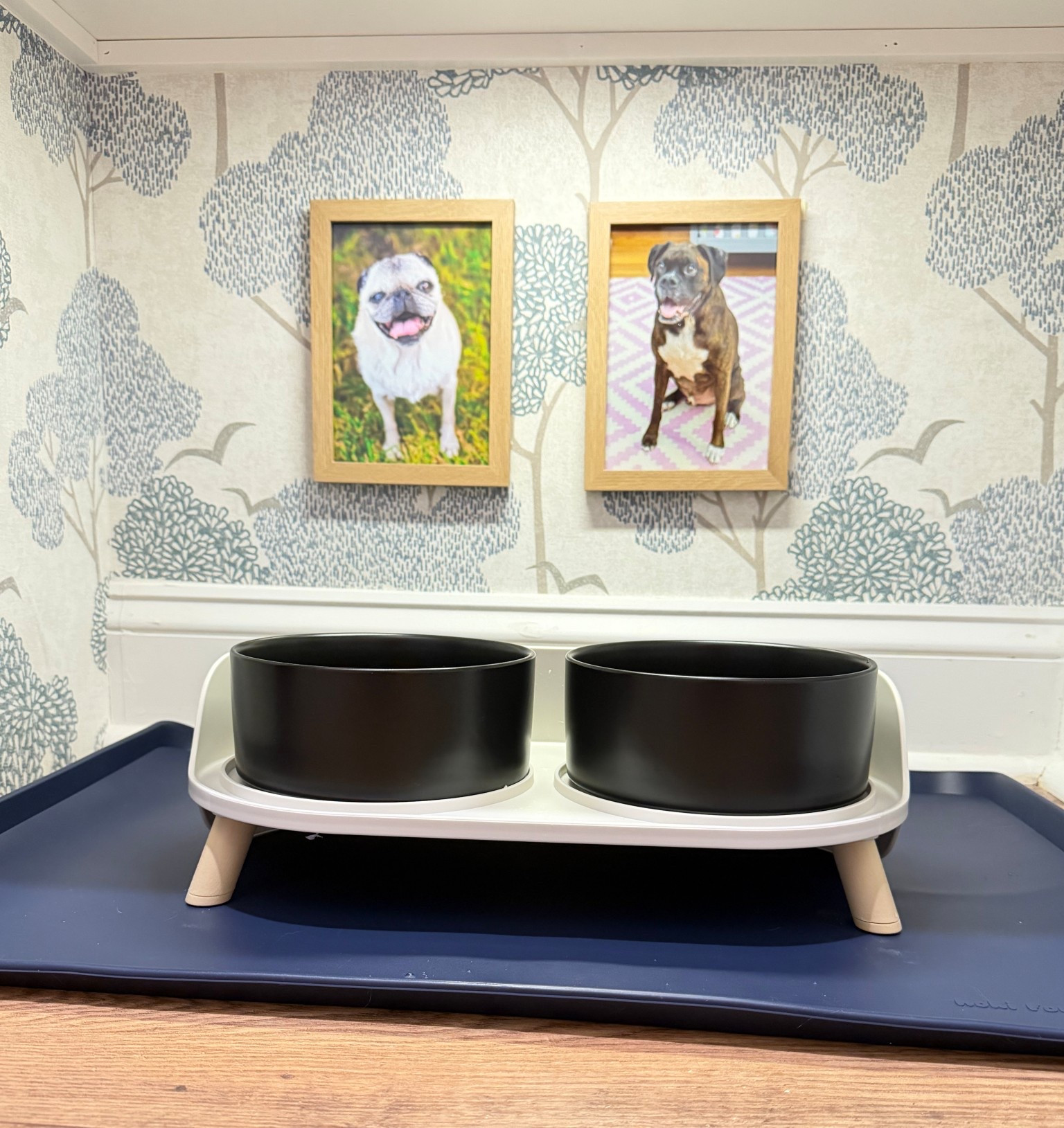 Cozy but practical—that was the goal for this little dog feeding setup 🐶 I wanted something that looked intentional but still worked for everyday life (because let’s be honest… it gets messy fast).

I kept it simple with an elevated bowl, easy-to-clean mat, and a setup that blends into the space instead of standing out.

Everything is linked if you want to recreate this look.

#ltkhome #cozyhome #dogfeedingstation #petfriendlyhome #neutralhome