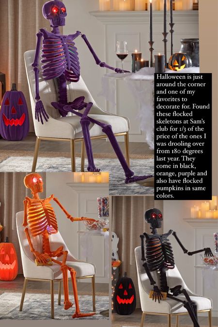Halloween is just around the corner and one of my favorites to decorate. I found these flocked life size skeletons for 1/3 of the price from 180 degrees brand that I was drooling over last year!

Halloween decor 
Halloween 
Halloween decorations 


#LTKunder100 #LTKSeasonal #LTKhome