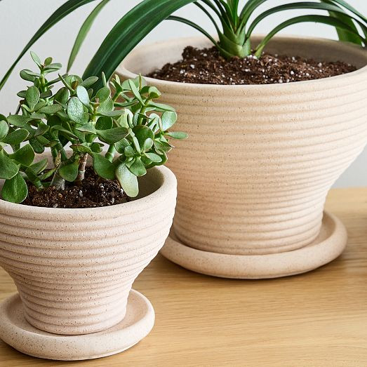 Mara Hoffman Planters | West Elm (US)