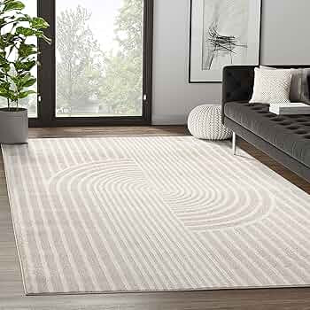 Abani Area Rug for Living Room -Nuevo 5' x 8' Beige Arch Pattern Area Rug, Soft and Durable Livin... | Amazon (US)