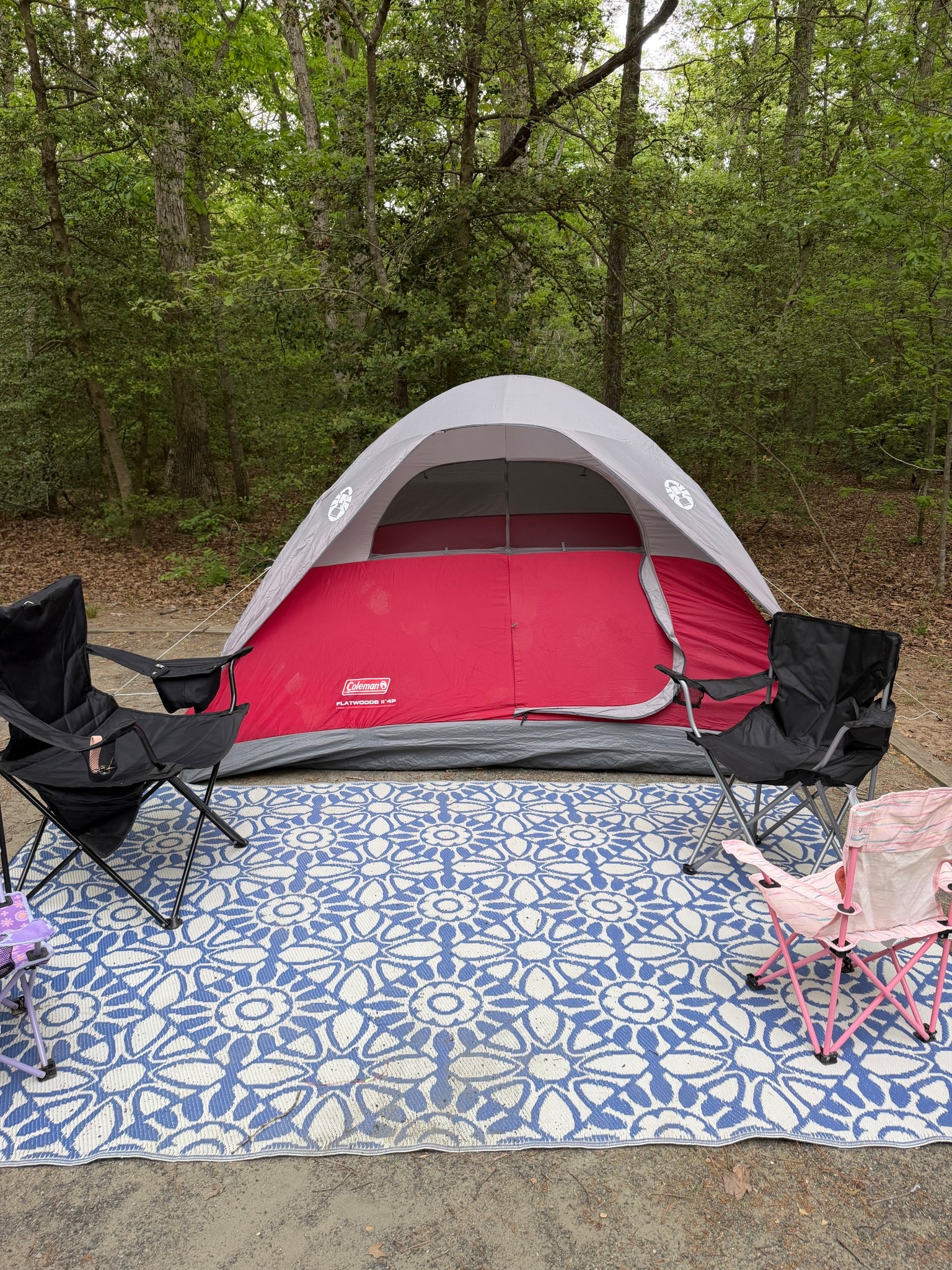 Sharing some of our favorite non toxic bug repellents for camping 🏕️✨

@Primally Pure @NATPAT: Stick on Superpowers 

#nontoxicliving #nontoxiccampingessentials #momlife #lowtoxliving #campingessentials

#LTKdayinmylife #LTKTravel #LTKmomlife