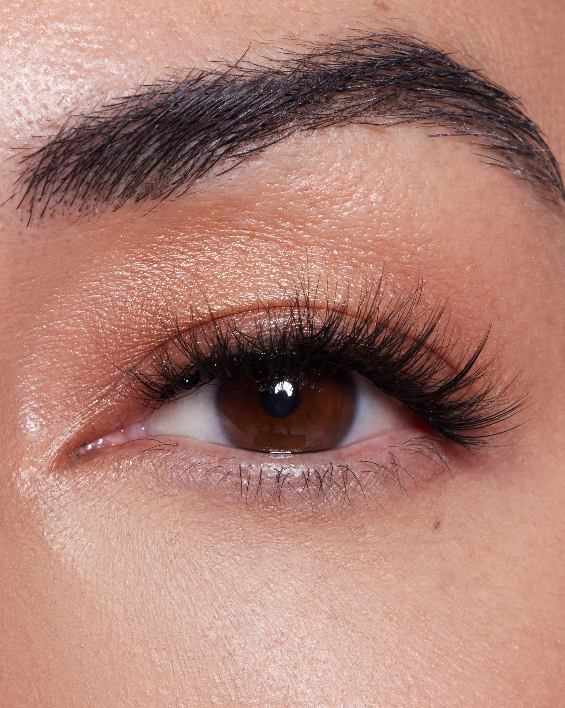 Secret Agent 3D Undercover DIY Lash Extension Kit | Lilly Lashes