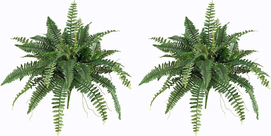 Nearly Natural 40in. Boston Fern (Set of 2), Green | Amazon (US)