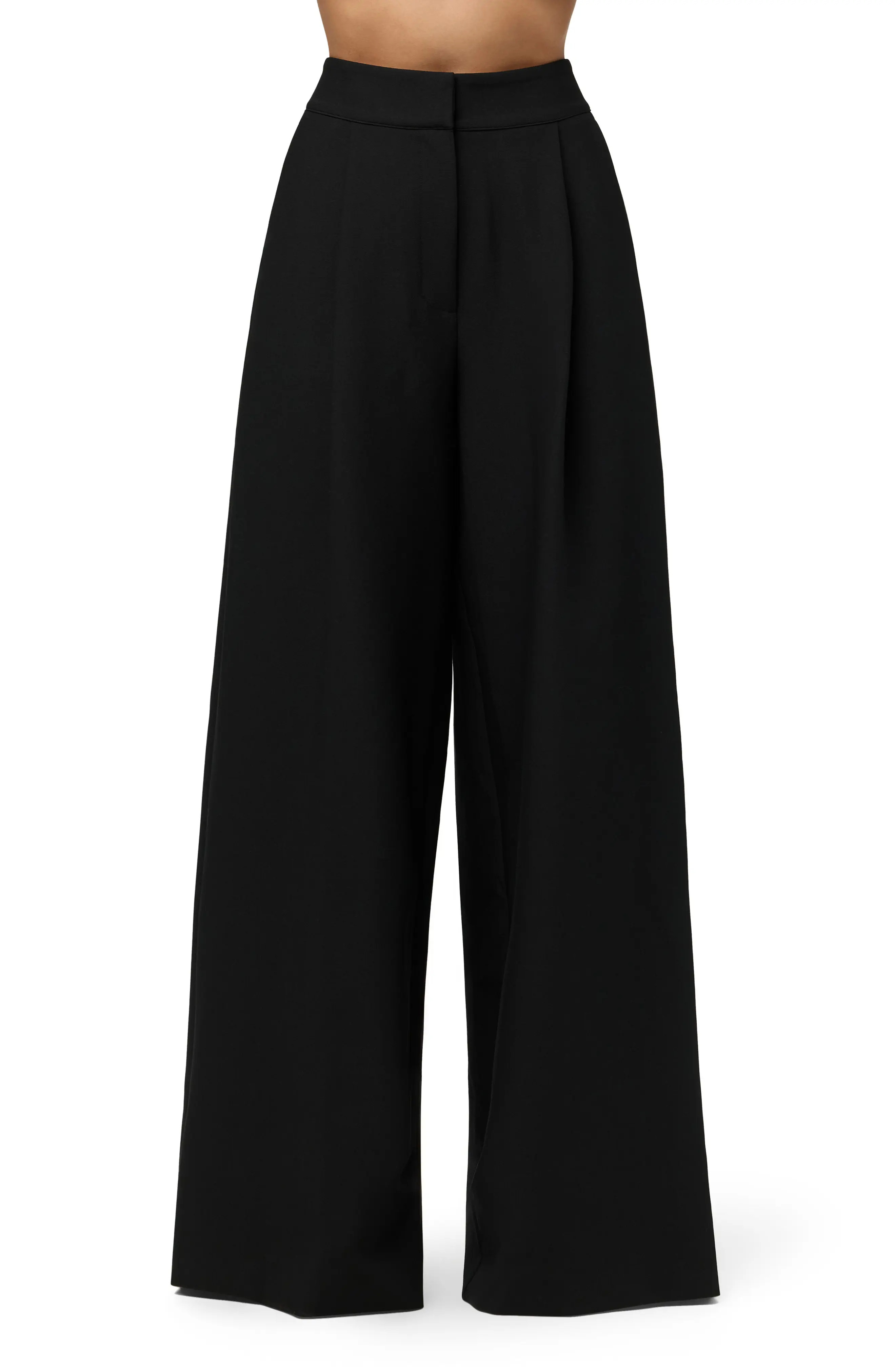 Naked Wardrobe Pleated Wide Leg Pants (Women) | Nordstrom | Nordstrom