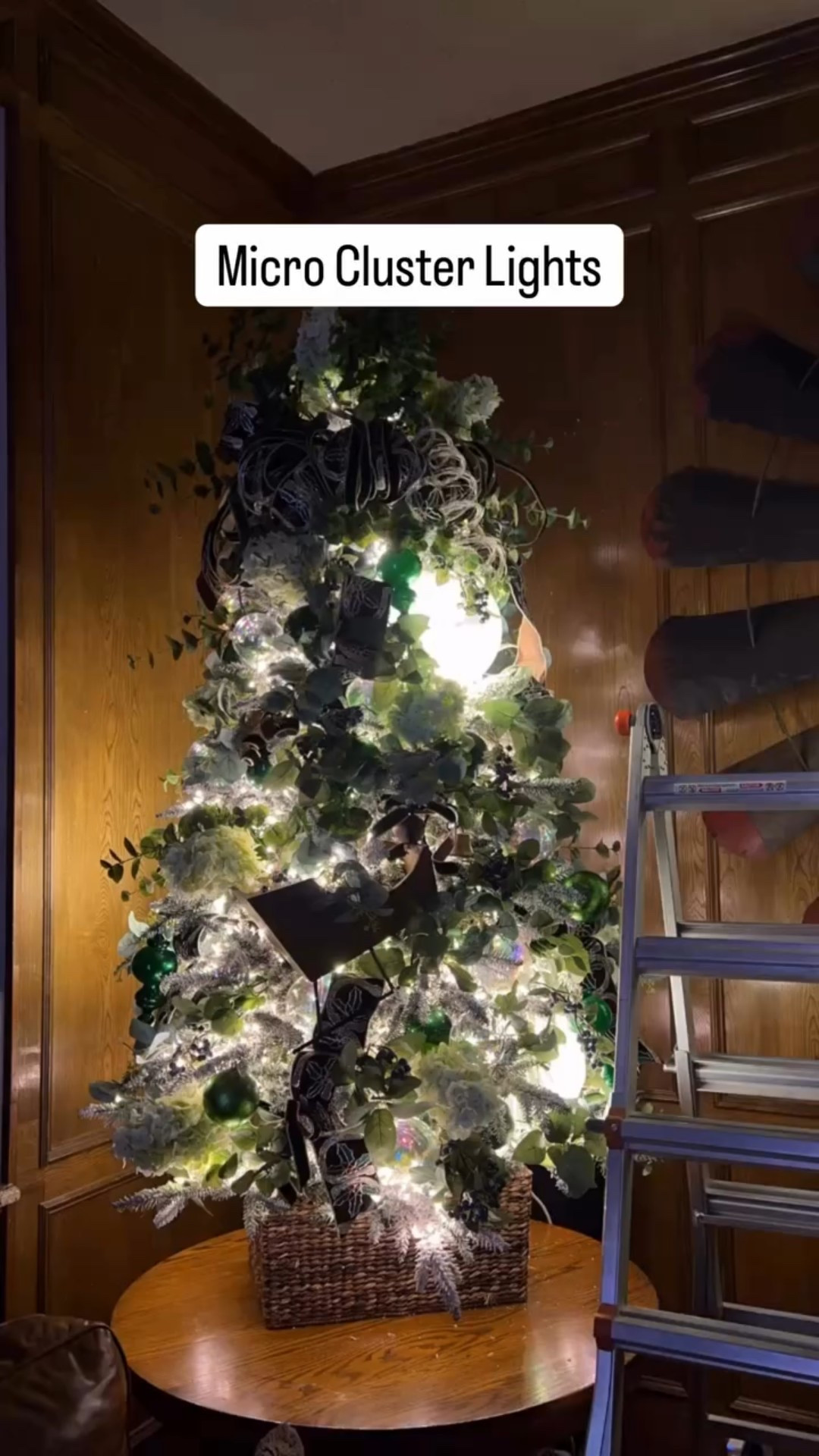 Comment “Micro” for the link to these micro cluster lights and add some light to the outside of the tree.  This makes all the difference!

This tree before I added the micro lights was gorgeously decorated, but after I added the lights, you could tell just how gorgeous it was!

This tree also features three borealis lights that are the giant lighted ornaments you see.  Find those at the link as well.

If you want a a special and different tree this year, it all starts with the lights! So, comment ‘Micro” for the link.

Don’t forget to follow me for all the Christmas lighting and decorating ideas you’ll need this holiday season.

Happy decorating!

Tara

#Christmas #christmaslights #lights #Christmasdecor #christmasdecorating #holiday #holidaydecor #holidaylights #christmastree #Christmastime #christmasdecorations #christmastreedecorating #holidays #holidaydecorating #holidayseason #twinkle

#LTKHome #LTKHoliday #LTKSeasonal