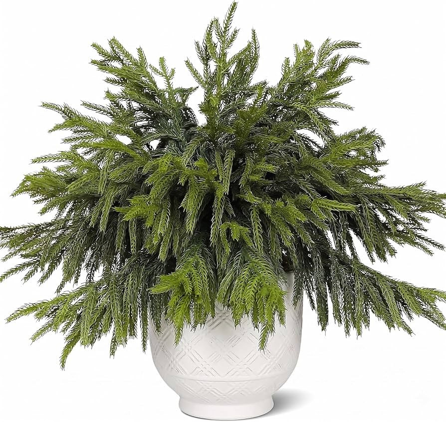 20 Pcs Christmas Artificial Norfolk Pine Branches 18" Real Touch | Amazon (US)