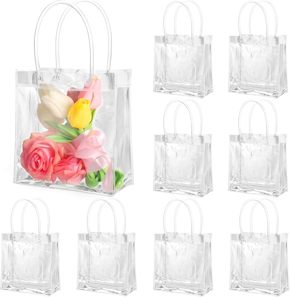 BESARME 20 Pack 6.3" x 5.9" x 2.8" Clear Gift Bags with Handle, Reusable Plastic Small Gift Bags ... | Amazon (US)