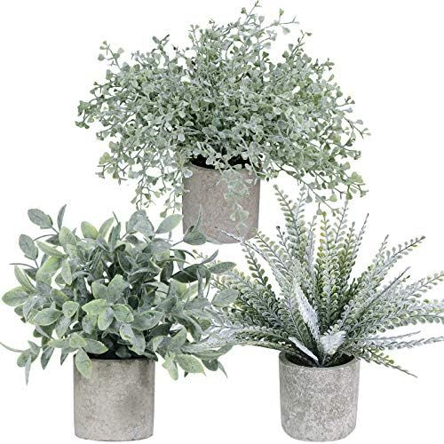 3 Pack Mini Potted Plants Artificial Flocked Eucalyptus Boxwood Fern Greenery in Pots Faux Potted... | Amazon (US)
