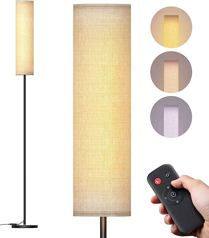 Floor Lamp with Remote Control for Bedroom/Living Room/Office, Modern Living Room LED 4 Color Tem... | Amazon (US)