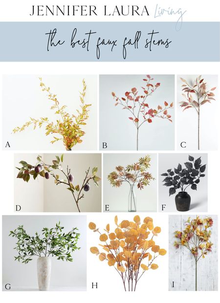The best faux fall stems! 

#LTKhome