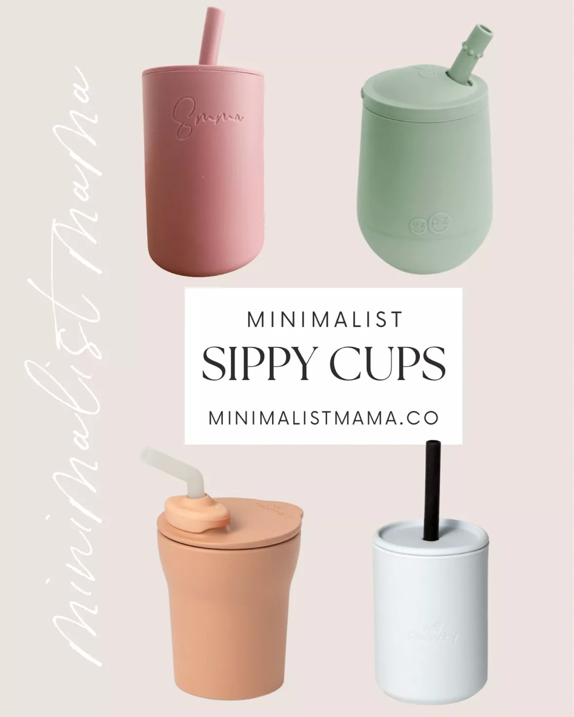 Custom Sippy Cups with Straw